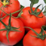 Tomate Larga Vida