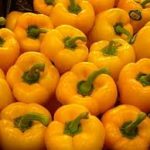Pimenton Amarillo