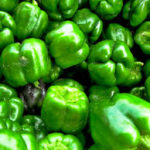 Pimenton Verde