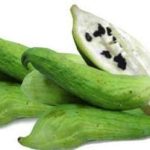 Pepino Comun