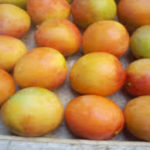 Mango Azucar