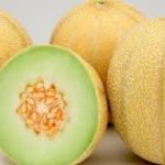 Melon