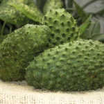 Guanabana