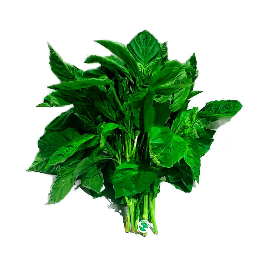 4 ALVACON hoja ancha - Image 1