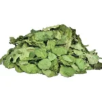 MORINGA