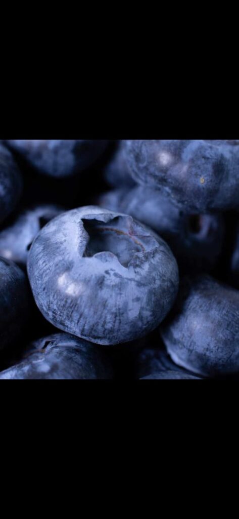 Arandanos 500 gr